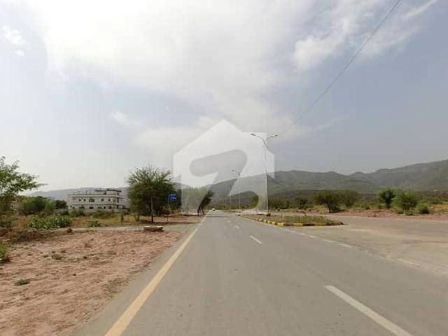 Plot For Sale In D 12 Prime Location Deal!