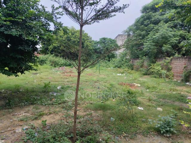 Plot For Sale In Dlf In, Sector 10 Hbc, Fari