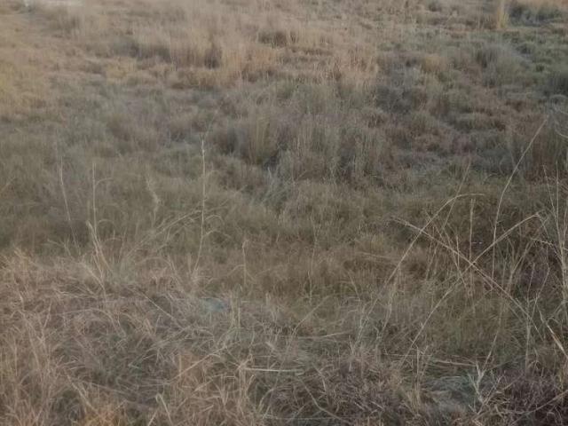 Plot For sale in Engineering Co operative Housing ECHS Islamabad D 18 ID 59203