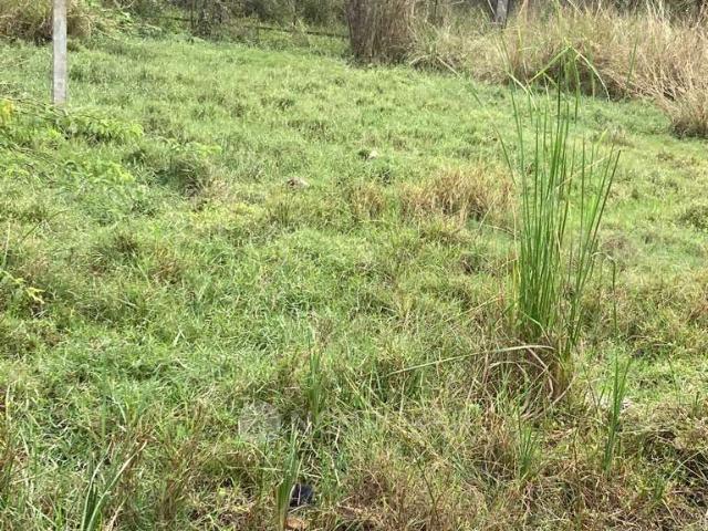 Plot For Sale In Guduvanchery
