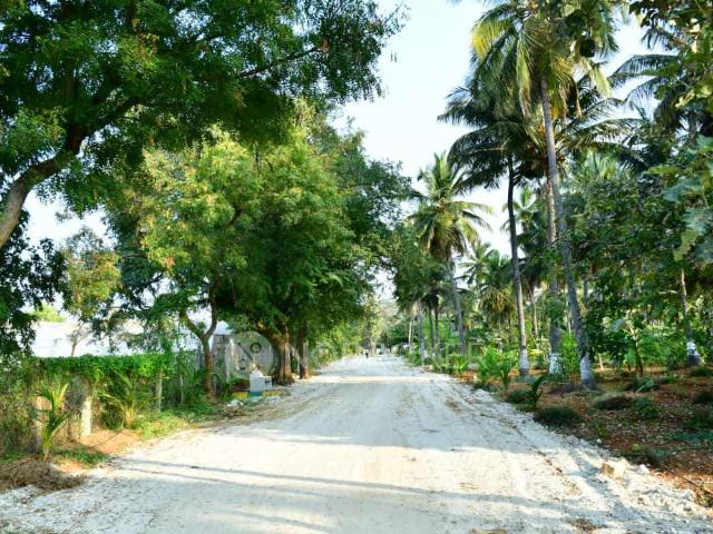 Plot For Sale In Goribindru