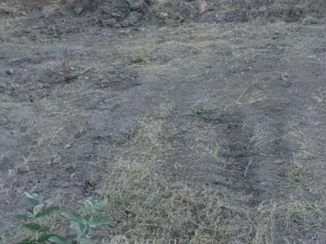 Plot For Sale In Ground Floor 10th Floor, Vittal Mallya R
