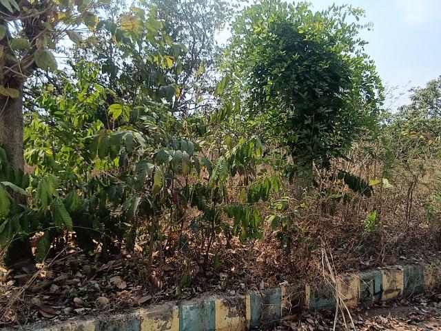 Plot For Sale In Hoskote