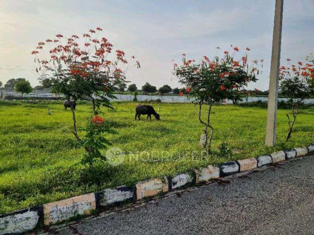 Plot For Sale In Hpr Gardenia In C9h8+8f5, Jayabheri Pine Valley, Gachibowli, Hyderabad, Telangana 500032, India