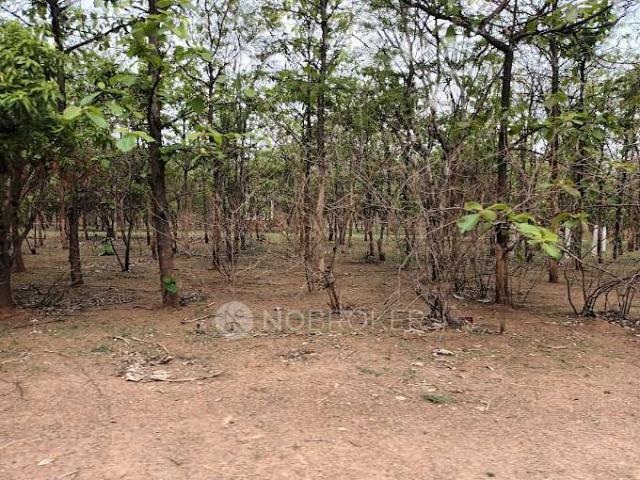 Plot For Sale In Jana Harsha Housing City In Ibrahim Bagh