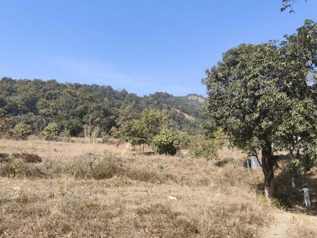 Plot For Sale In Jimcorbett Ramnagar Dhela Road 300 Sq. Yd. Plot in Ramnagar Nainital Listing ID: #10212