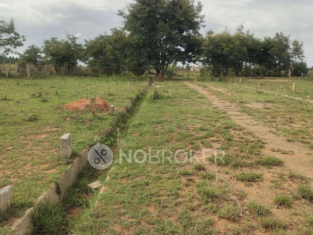 Plot For Sale In Kalpatharu In Devanahalli