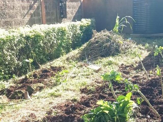 Plot For Sale in Kikuyu Town – 100