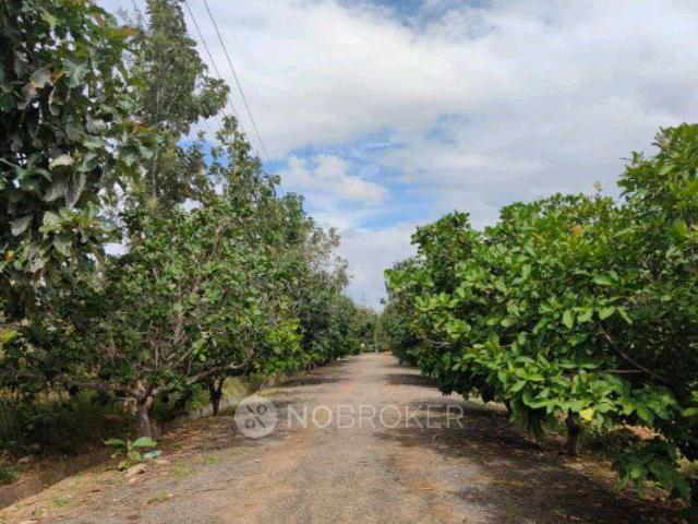 Plot For Sale In Royce Green Ville In Sathnur Village