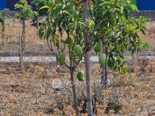 Plot For Sale In Sai Miracle In Shankarpalli Hyderabad Rd