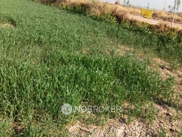 Plot For Sale In Sainik Colony