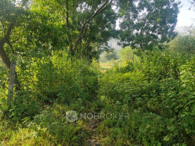 Plot For Sale In Sairang Society In Dattawadi, Nere, Dattaw