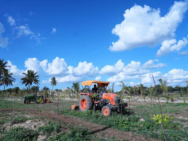 Plot For Sale In Sn Terrarium In Chikkaballapur