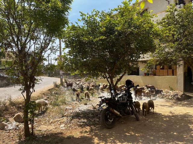 Plot For Sale In Thotada Guddadhalli Village