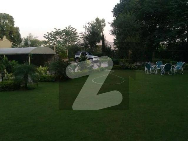 Plot For Sale 5 Marla