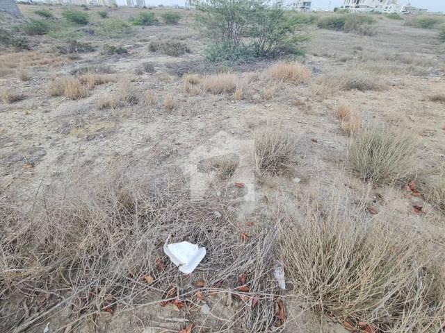 Plot For Sale 500 Square Yards In Dha City Sector 7 D