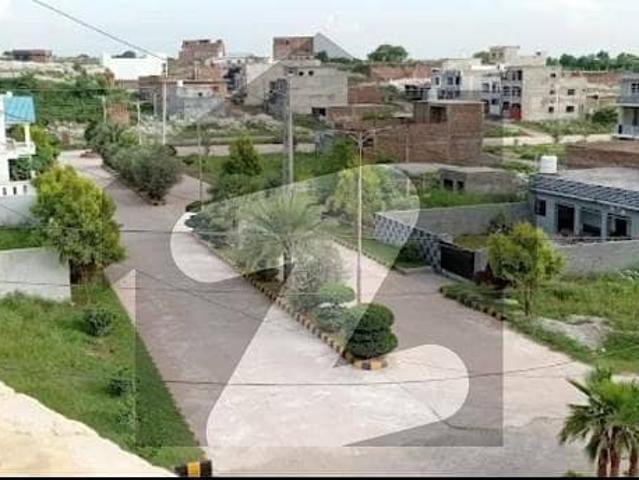 Plot For Sale 5 Plots Together Of 4 Marla