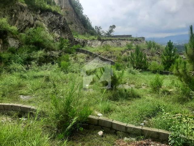 Plot In Green City Housing Scheme Mansehra