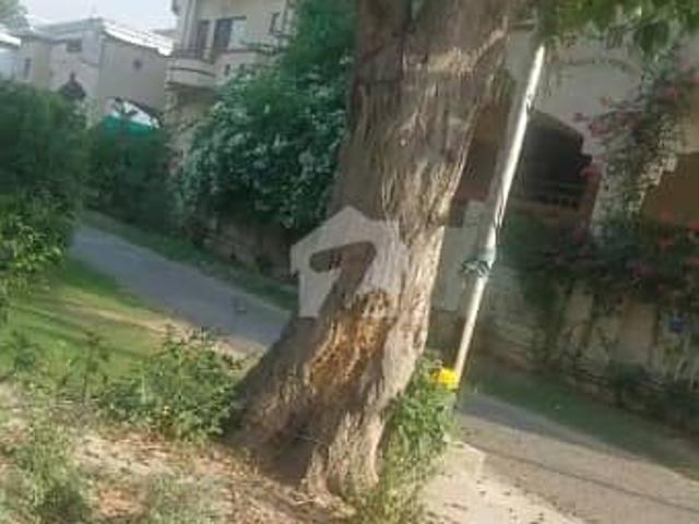 Plot Is Available F11/2 Size 666 Beautiful Location Hot Cake Direct Meting Owner