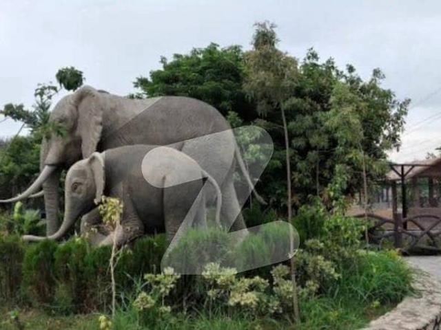 Plot Is Available For Sale In B 17 Block F 35*70