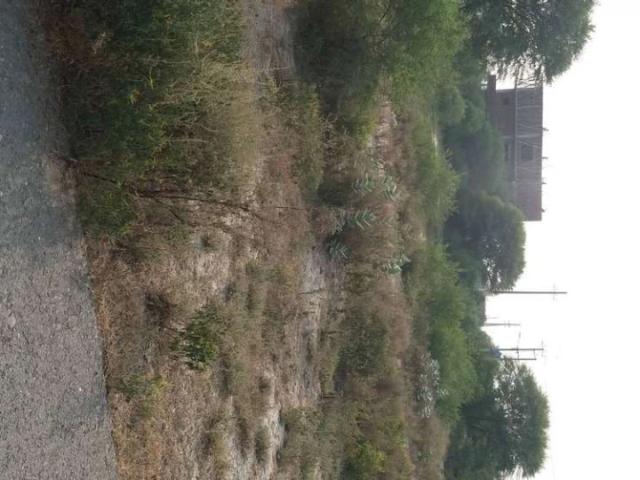 Plot is available lahore johar town id 33005