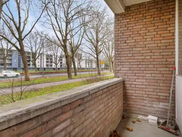 Plotinusstraat 100 Rotterdam