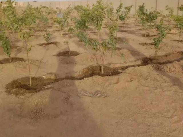 Plots available! Karachi Gulshan E Iqbal Block 11 ID 48998