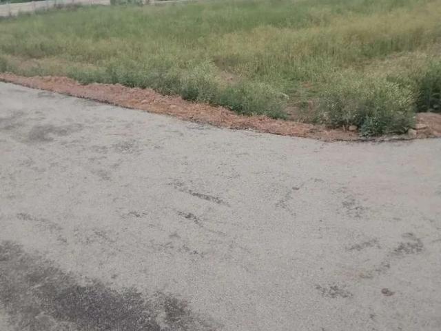 Plots Avilable Peshawar ID 14335