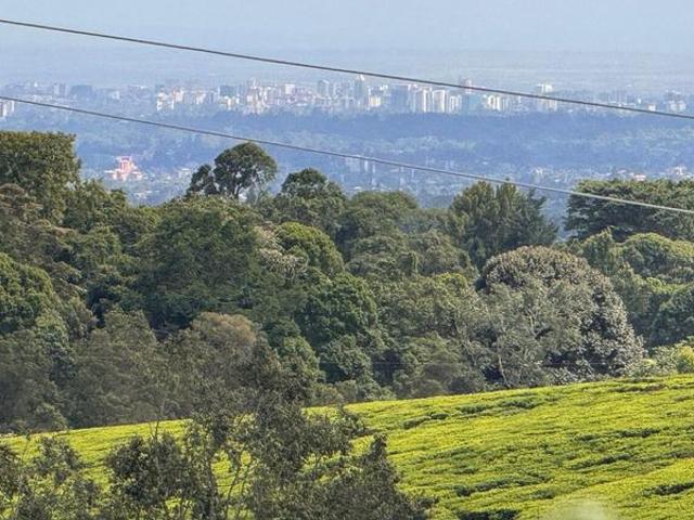 Plots For Sale Tigoni