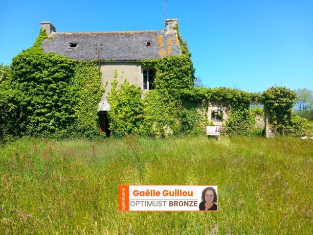 Plougoulm Vente Maison 29