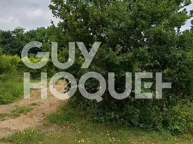 Plouha 22580 Achat / Vente terrain