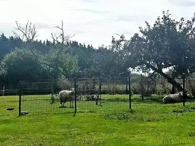 Plobannalec Lesconil 29740 Achat / Vente maison 8 pièces t8