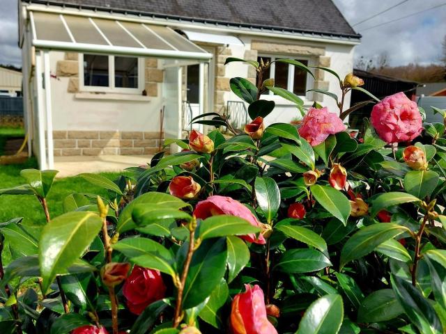 Ploërdut Vente Maison 56