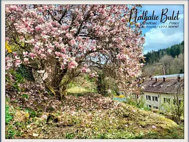 Plombières les Bains 88370 Achat / Vente appartement 4 pièces t4 jardin