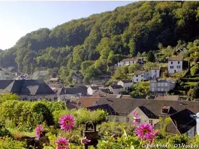 Plombières les Bains 88370 Achat / Vente divers