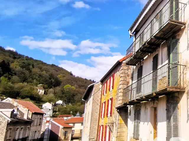Plombières les Bains Vente Immeuble 88