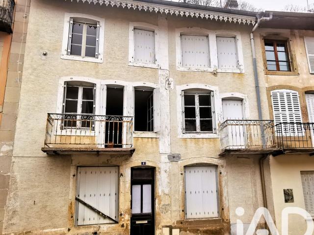 Plombières les Bains Vente Immeuble 88