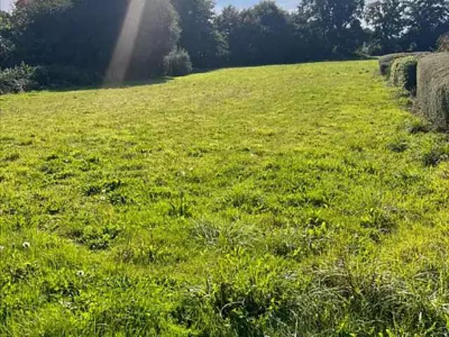 Plonévez du Faou 29530 Achat / Vente terrain