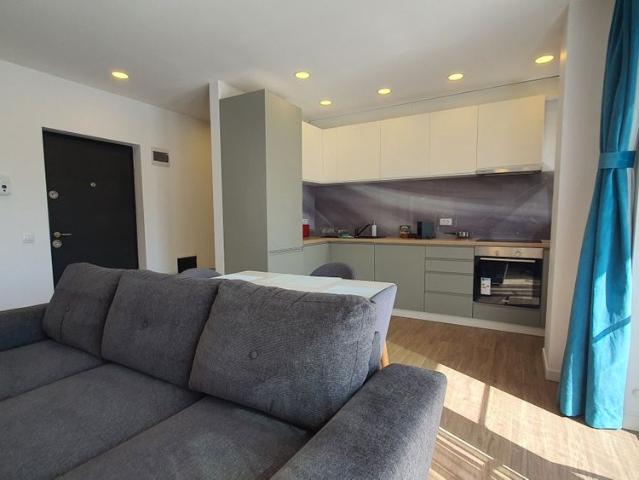 PLOPILOR PREMIUM RESIDENCE: penthouse for rent in Cluj Napoca, near the University of Agricultural Sciences and Veterinary Medicine and near the University of Medicine and Pharmacy, with living room, bedroom and a huge terrace