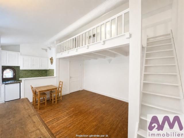 PLATEAU CENTRAL CALME CHAMBRE EN MEZZANINE