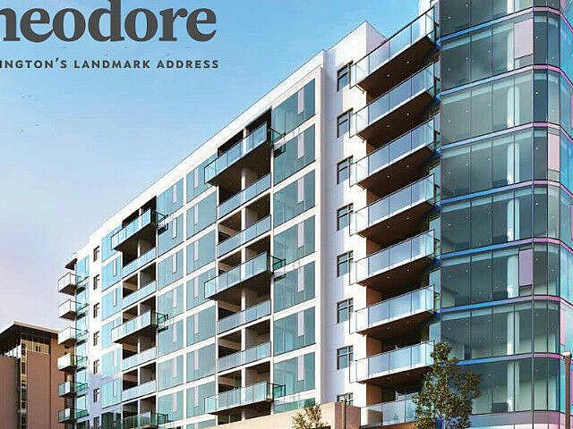 Platinum Vvip Access To The Theodore Condos