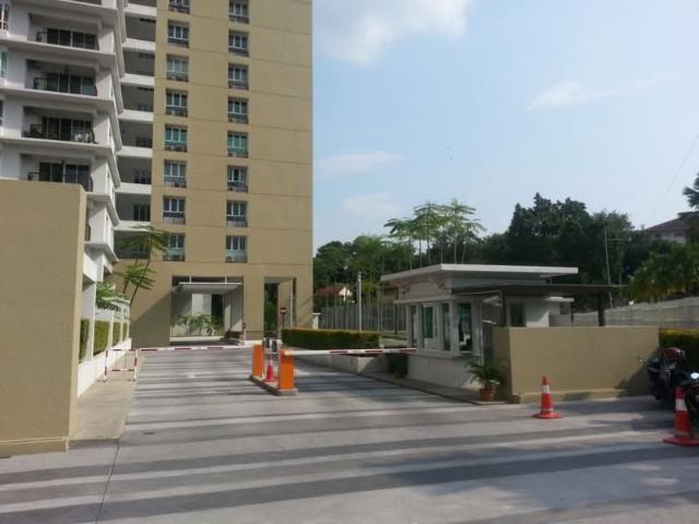 Platino Condominium, Jelutong