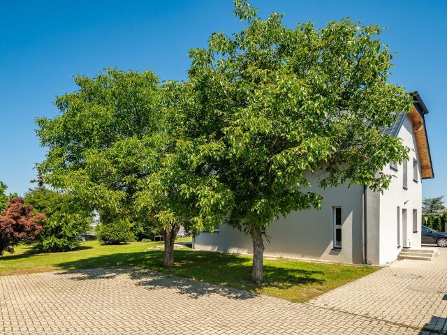 Platz zum Leben: Charmantes Einfamilienhaus auf großem Grundstück Gänserndorf Süd!