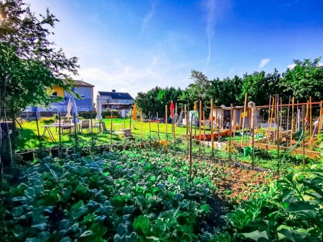 Platz für Ihr Traumhaus – Sonniges Grundstück in Ruhelage!