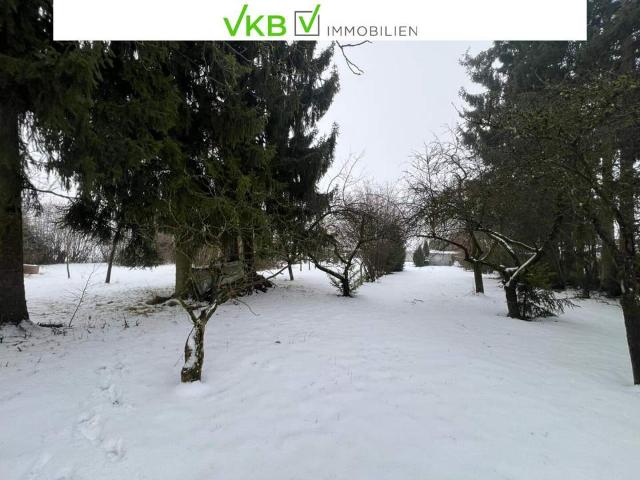 Großzügiges Grundstück nähe Gallneukirchen! Gemeinde Alberndorf in der Riedmark GST 2443/1