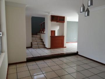 PLAZA GUADALUPE 3 rec, Studio P/B, Star tv P/A