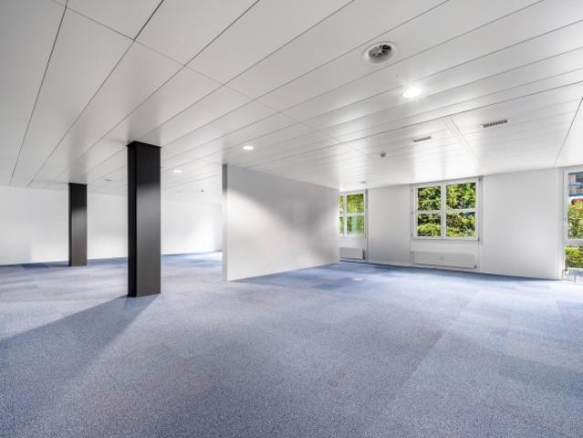 PLAZA | Repräsentative Laden /Gewerbefläche im Erdgeschoss Sichtbar. Zentral. Hell