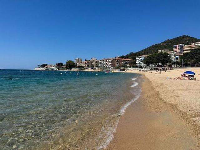 Plage à pied Trottel Jardin