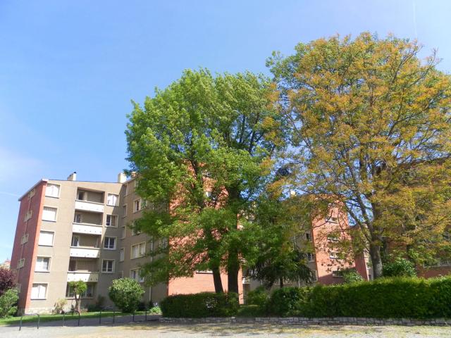 PLAIN COEUR COTE PAVEE T2