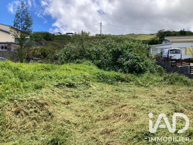 Plaine des Cafres Vente Terrain 97